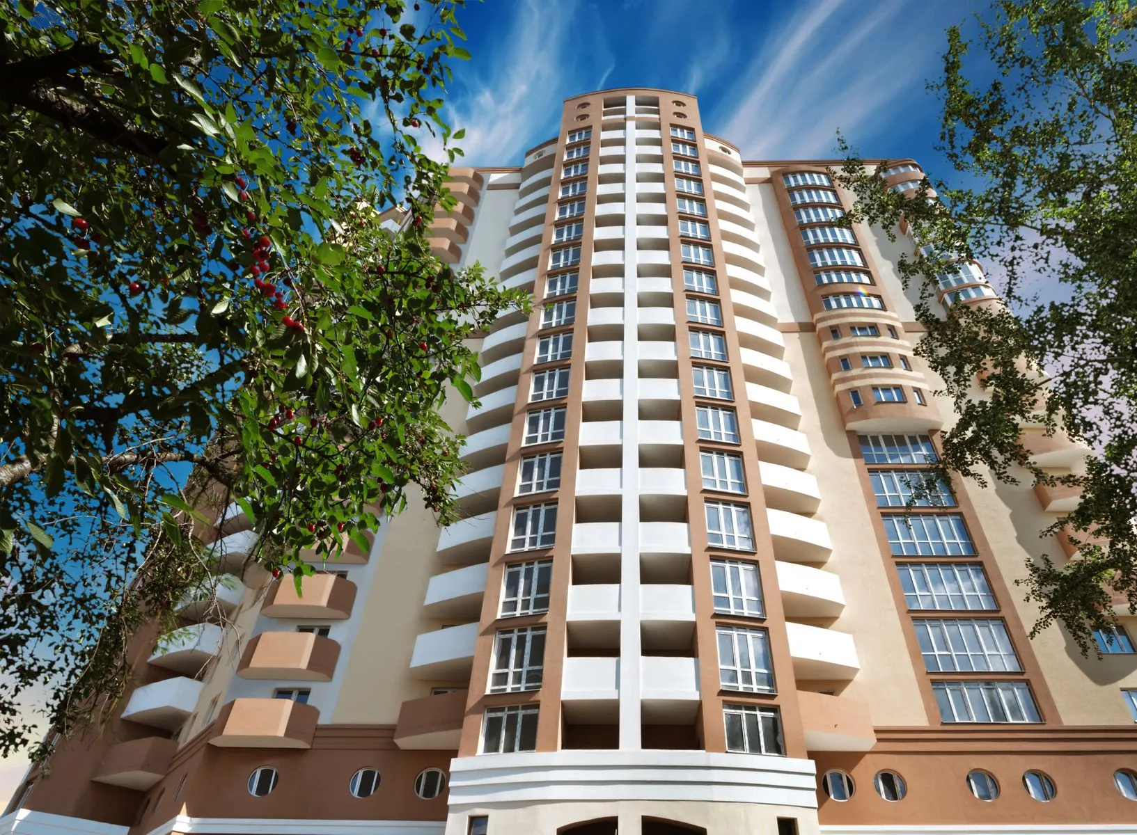 �������� ���� ����