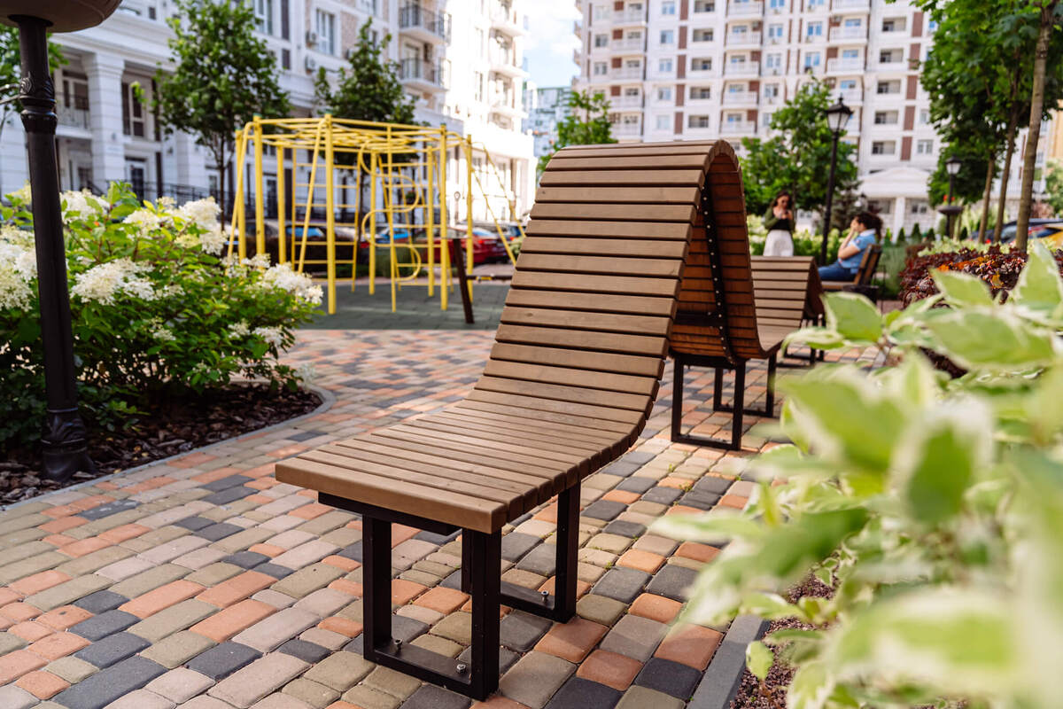 ���� ����� ����