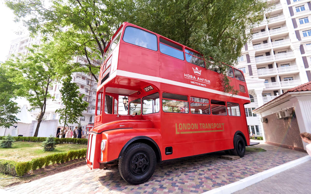 ���� ����� ����