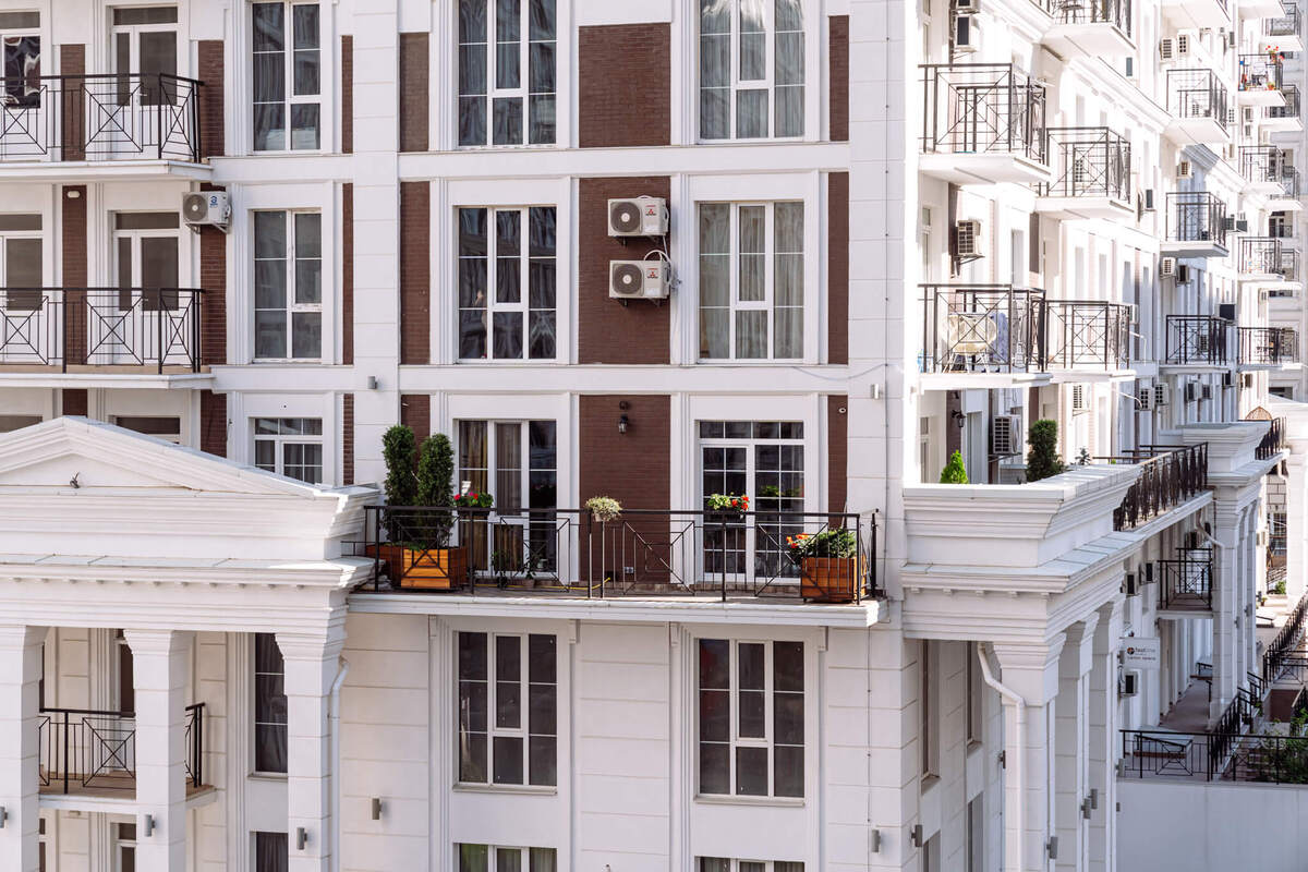 ���� ����� ����