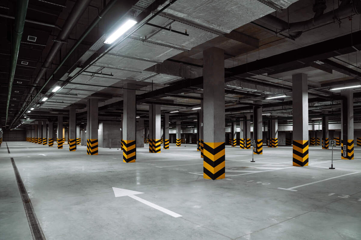 ���� ����� ����