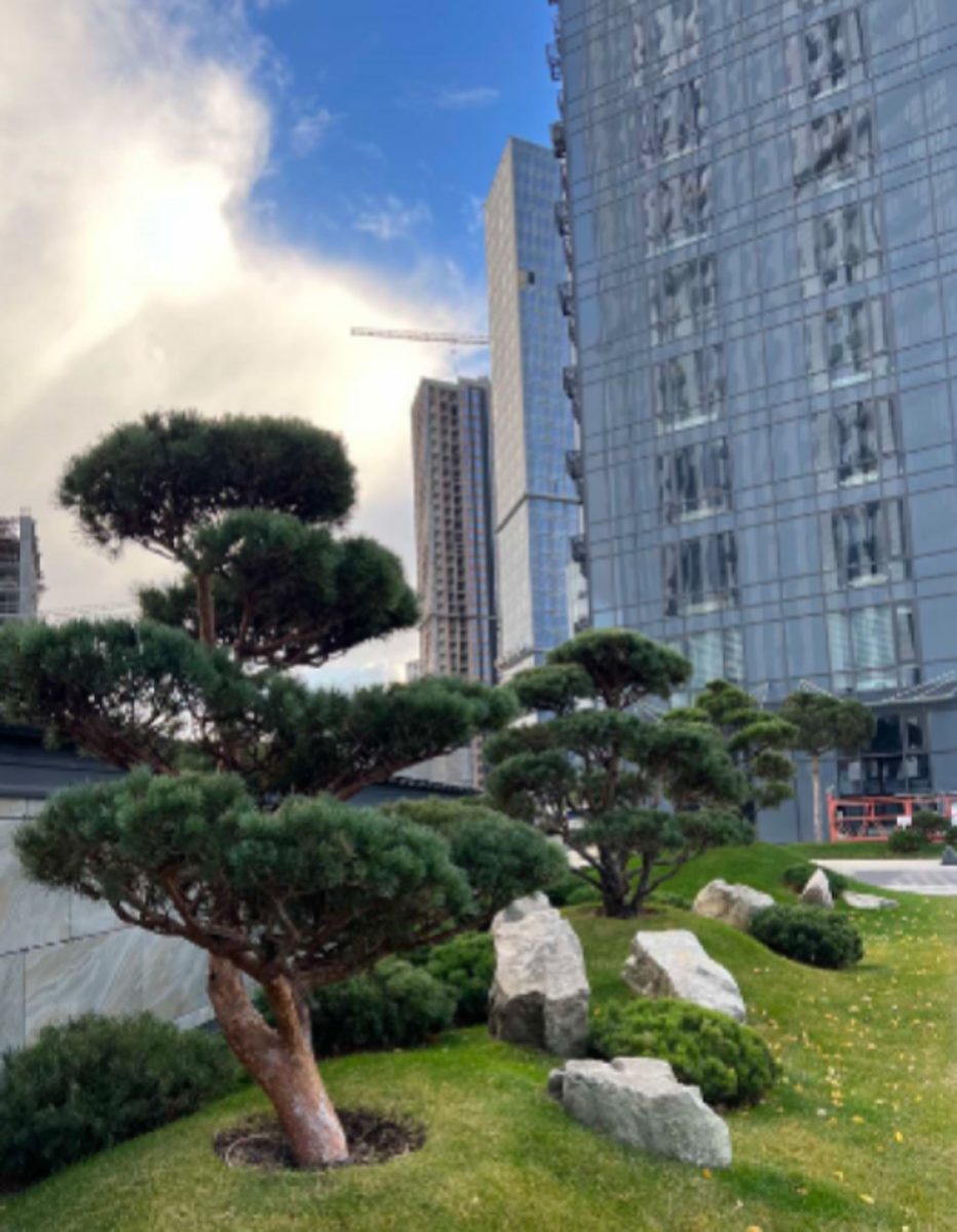 ��������� ����