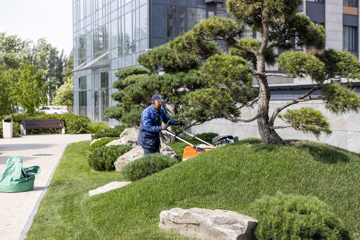 ��������� ����