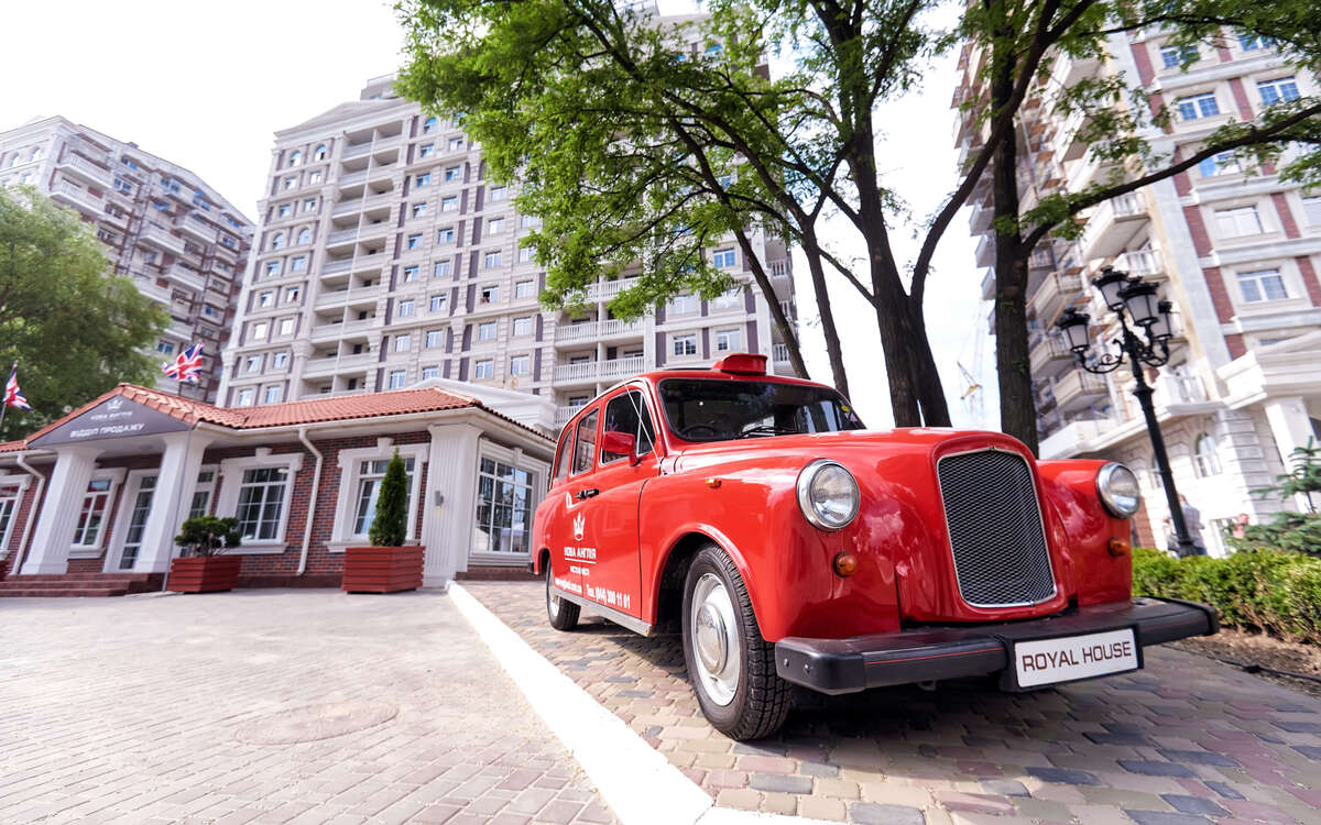 ���� ����� ����