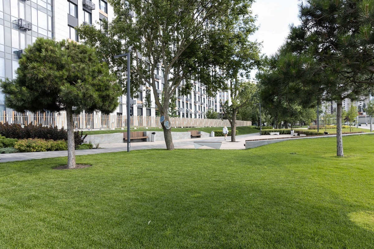 ��������� ����