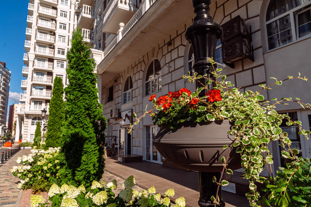 ���� ����� ����