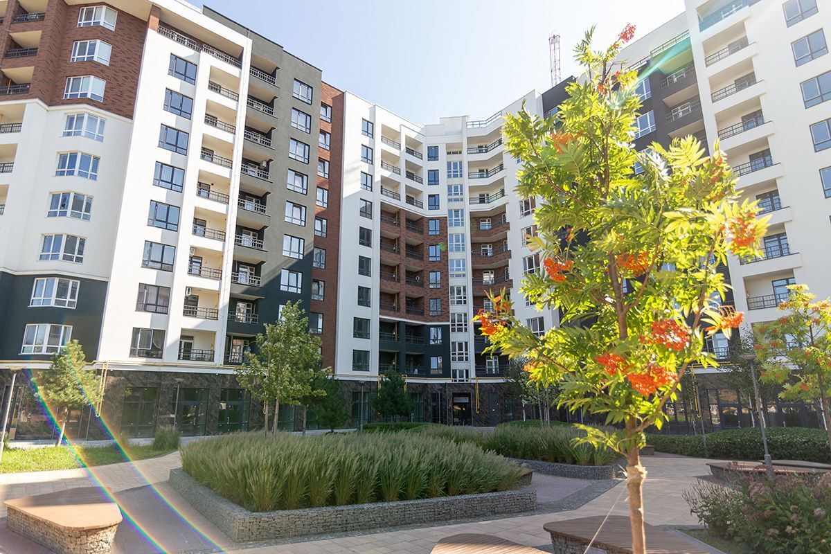 ������� ѳ� ����