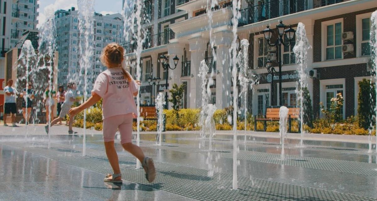 ���� ����� ����