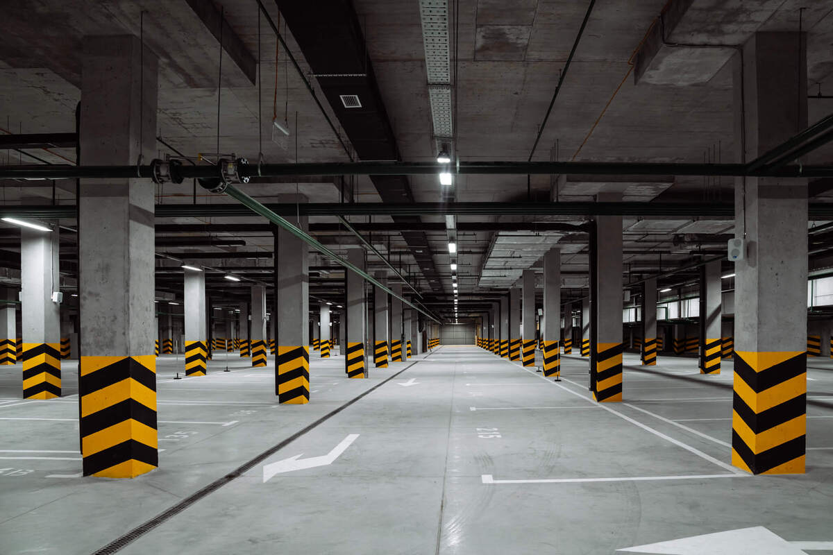 ���� ����� ����