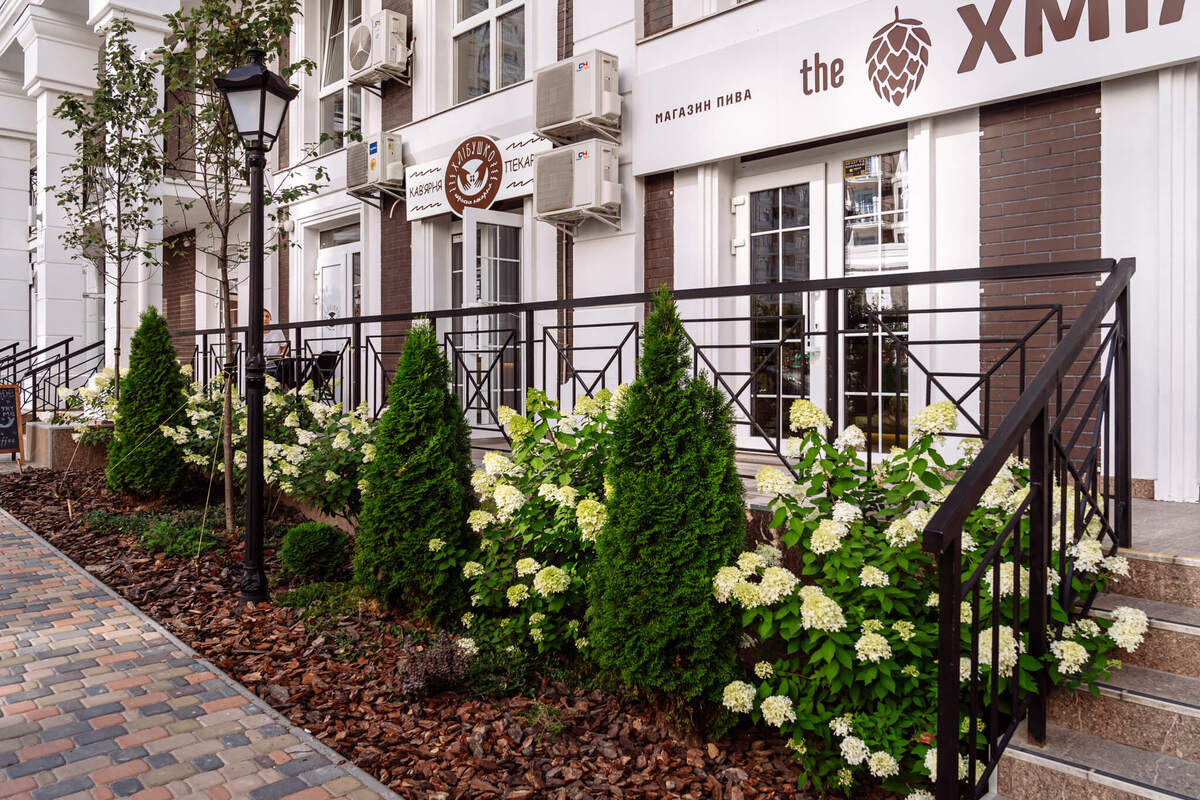 ���� ����� ����