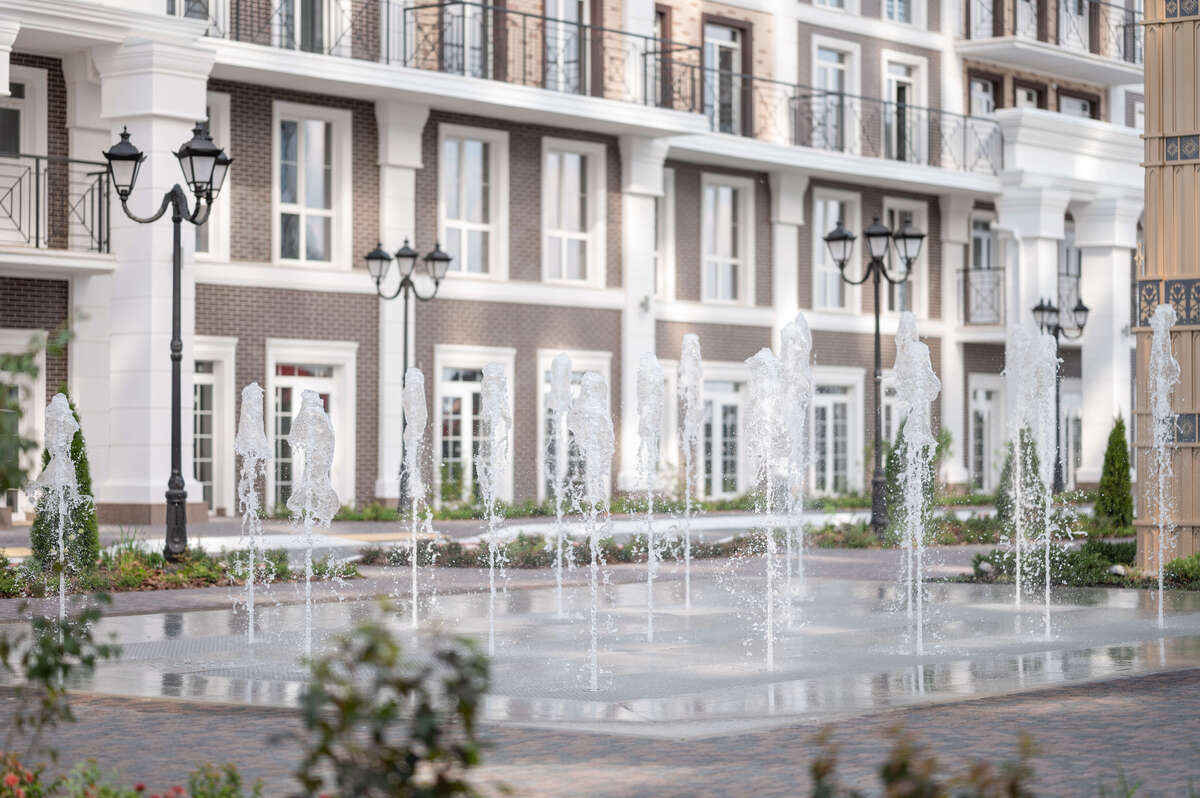 ���� ����� ����